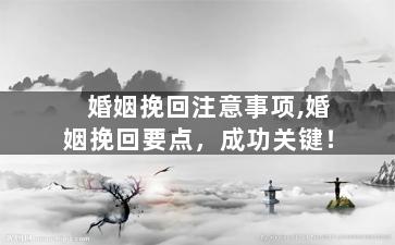 婚姻挽回注意事项,婚姻挽回要点，成功关键！