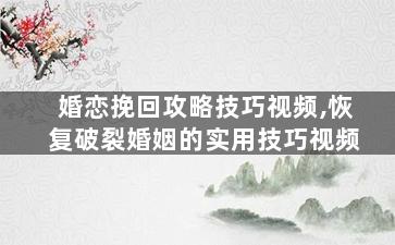 婚恋挽回攻略技巧视频,恢复破裂婚姻的实用技巧视频
