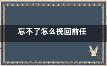 忘不了怎么挽回前任