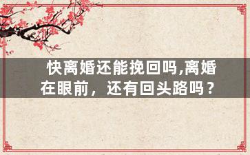 快离婚还能挽回吗,离婚在眼前，还有回头路吗？