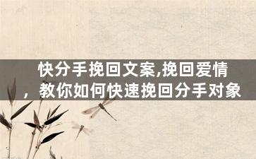 快分手挽回文案,挽回爱情，教你如何快速挽回分手对象