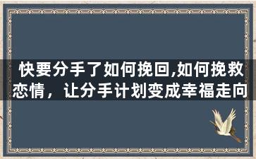 快要分手了如何挽回,如何挽救恋情，让分手计划变成幸福走向