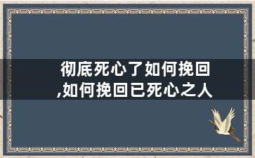 彻底死心了如何挽回,如何挽回已死心之人