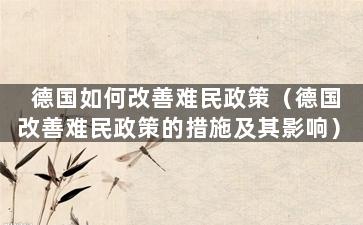 德国如何改善难民政策（德国改善难民政策的措施及其影响）