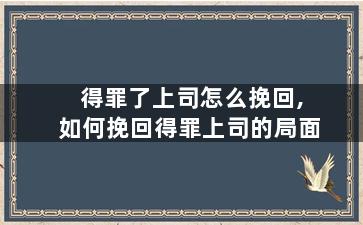 得罪了上司怎么挽回,如何挽回得罪上司的局面