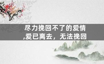 尽力挽回不了的爱情,爱已离去，无法挽回