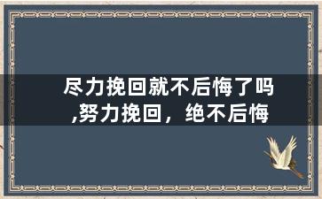 尽力挽回就不后悔了吗,努力挽回，绝不后悔
