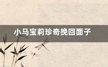 小马宝莉珍奇挽回面子