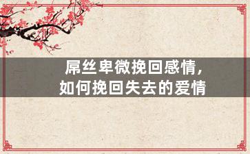 屌丝卑微挽回感情,如何挽回失去的爱情