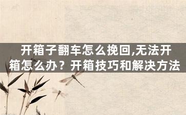 开箱子翻车怎么挽回,无法开箱怎么办？开箱技巧和解决方法