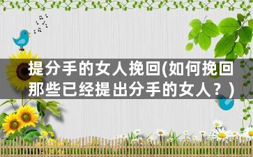 提分手的女人挽回(如何挽回那些已经提出分手的女人？)