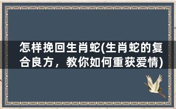 怎样挽回生肖蛇(生肖蛇的复合良方，教你如何重获爱情)