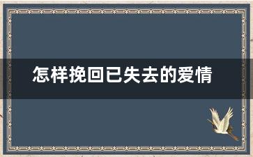 怎样挽回已失去的爱情