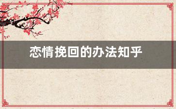 恋情挽回的办法知乎