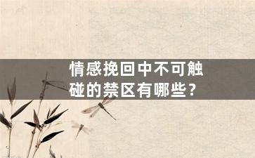 情感挽回中不可触碰的禁区有哪些？