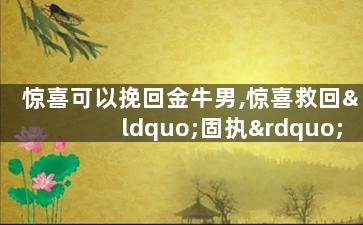 惊喜可以挽回金牛男,惊喜救回“固执”的金牛男
