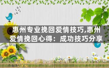 惠州专业挽回爱情技巧,惠州爱情挽回心得：成功技巧分享