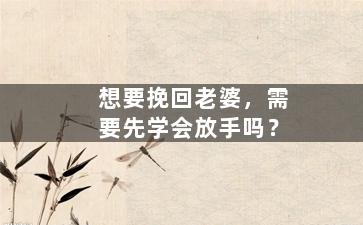 想要挽回老婆，需要先学会放手吗？