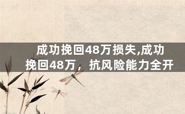 成功挽回48万损失,成功挽回48万，抗风险能力全开