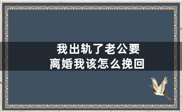 我出轨了老公要离婚我该怎么挽回（我出轨了老公要离婚我该怎么挽回他）