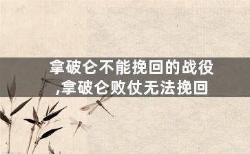 拿破仑不能挽回的战役,拿破仑败仗无法挽回