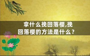 拿什么挽回落樱,挽回落樱的方法是什么？