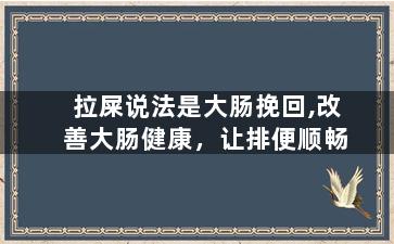 拉屎说法是大肠挽回,改善大肠健康，让排便顺畅