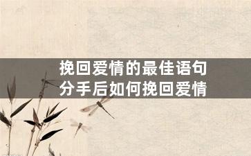 挽回爱情的最佳语句分手后如何挽回爱情