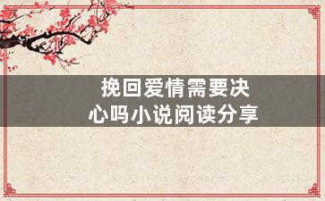 挽回爱情需要决心吗小说阅读分享