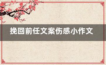 挽回前任文案伤感小作文