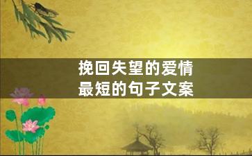 挽回失望的爱情最短的句子文案