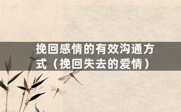 挽回感情的有效沟通方式（挽回失去的爱情）
