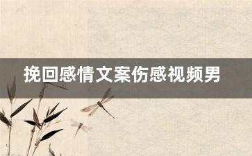 挽回感情文案伤感视频男（感人肺腑的挽回爱情语录精选）