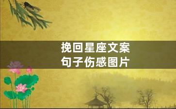 挽回星座文案句子伤感图片