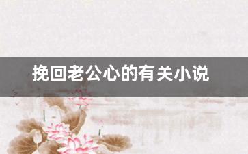 挽回老公心的有关小说