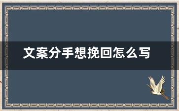 文案分手想挽回怎么写（文案分手想挽回怎么写简短）