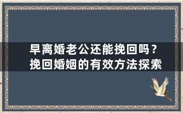 早离婚老公还能挽回吗？挽回婚姻的有效方法探索