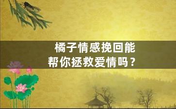 橘子情感挽回能帮你拯救爱情吗？