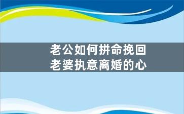 老公如何拼命挽回老婆执意离婚的心