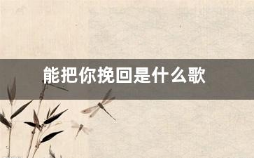 能把你挽回是什么歌（能把你挽回是什么歌的歌词）