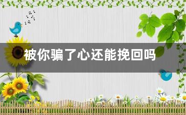 被你骗了心还能挽回吗