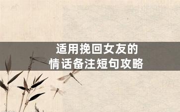 适用挽回女友的情话备注短句攻略