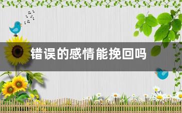 错误的感情能挽回吗