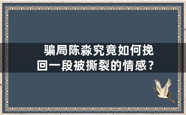 骗局陈淼究竟如何挽回一段被撕裂的情感？