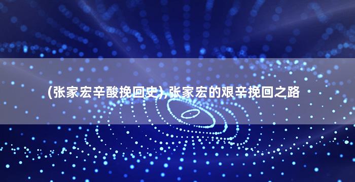 (张家宏辛酸挽回史),张家宏的艰辛挽回之路