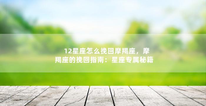 12星座怎么挽回摩羯座，摩羯座的挽回指南：星座专属秘籍