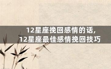 12星座挽回感情的话,12星座最佳感情挽回技巧