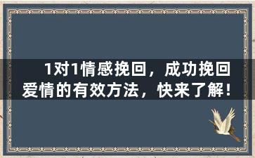 1对1情感挽回，成功挽回爱情的有效方法，快来了解！