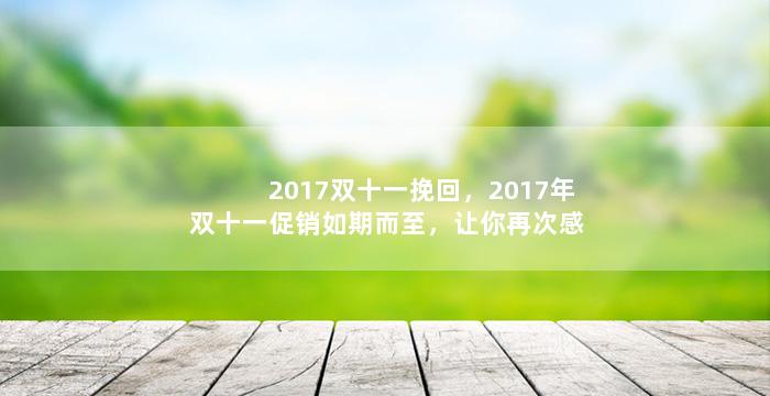 2017双十一挽回，2017年双十一促销如期而至，让你再次感受到购物的魅力