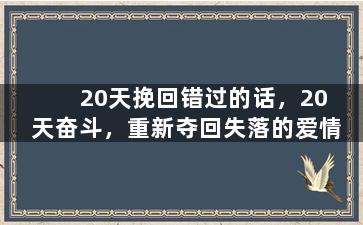 20天挽回错过的话，20天奋斗，重新夺回失落的爱情